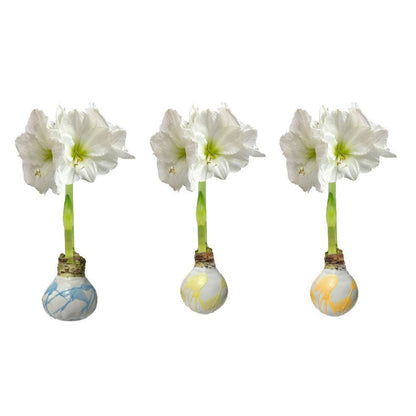 Pastel Splatter Wax Amaryllis Bulb