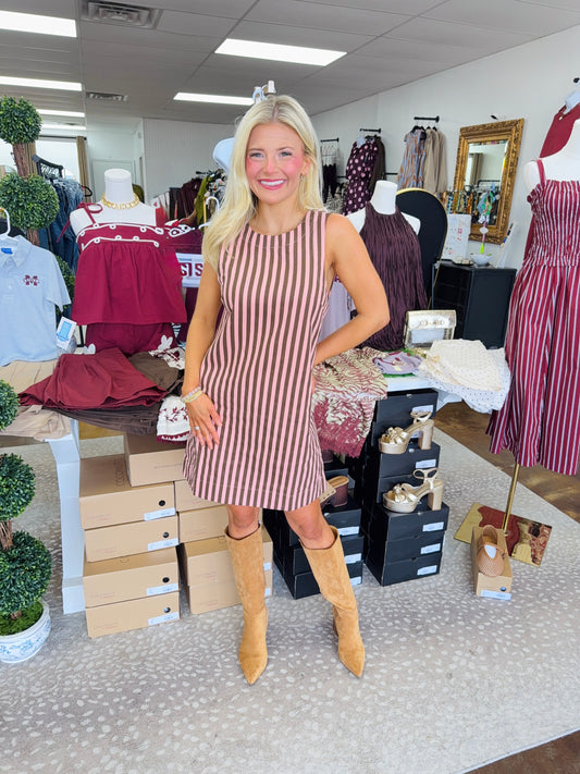 Pink & Chocolate Stripe Scope Back Denim Twill Mini Dress