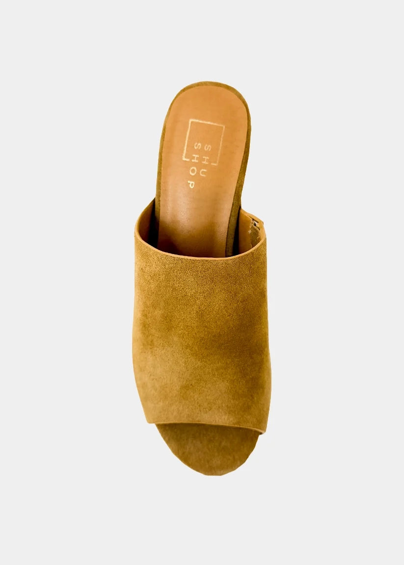 Hayden Platform Mule