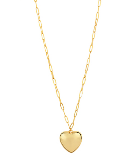 Bold Heart & Clip Chain Long Necklace